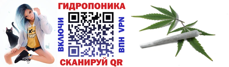 кракен ТОР  купить наркоту  Красавино  Марихуана White Widow 